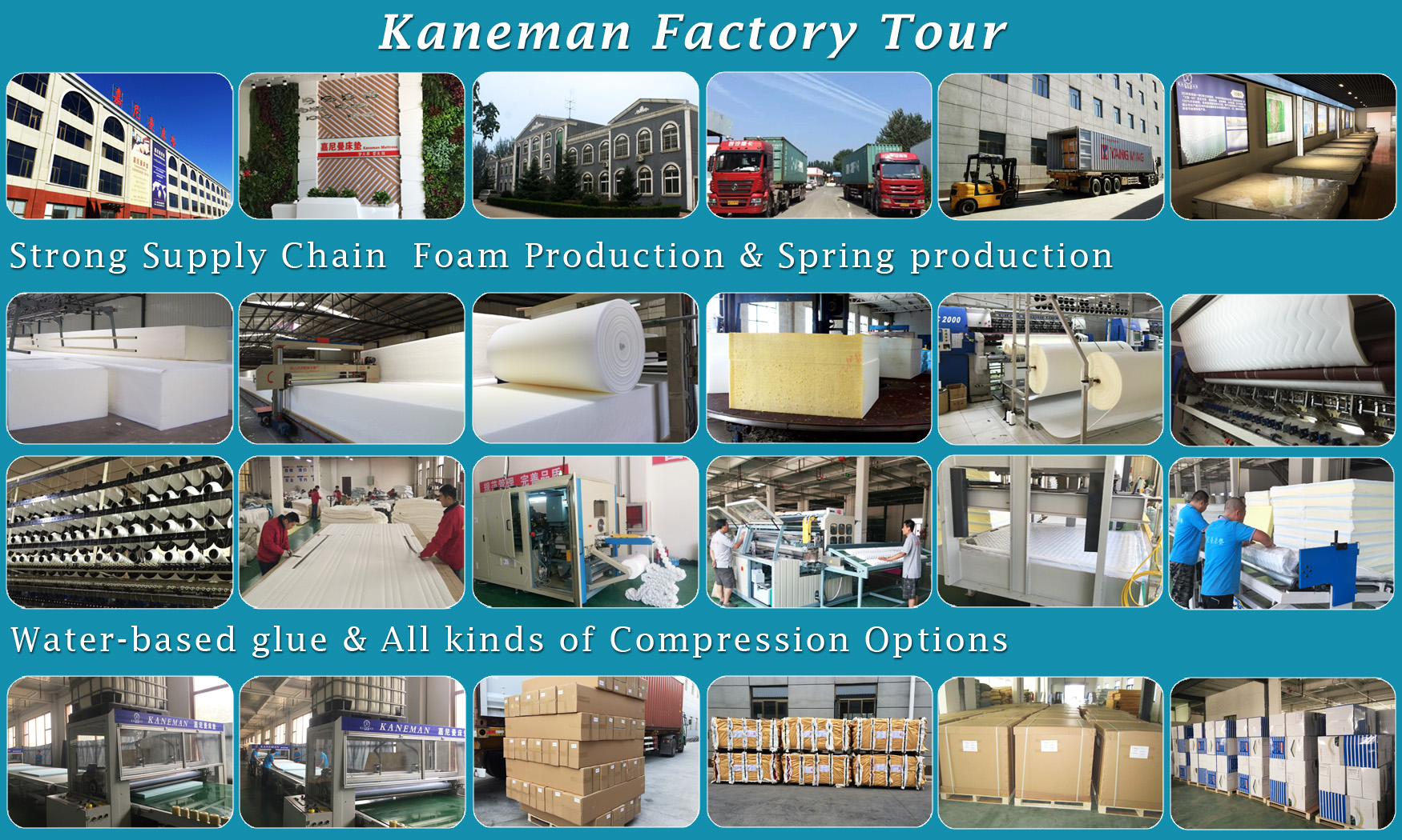 KANEMAN Factory review