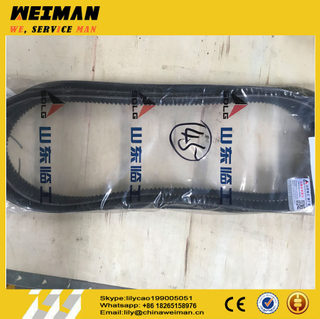 SDLG Spare Parts 4110001841019 V-BELT D01182054 for BF6M 1013 Engine for Sale