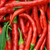 new crop Premium Grade Paprika Powder