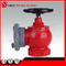 Indoor Fire Hydrant for Hot Sell Cheap Price