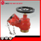 Flange Type Oblique Angle Fire Hydrant Landing Valve