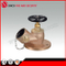 Bsp Fire Hydrant Landing Valve with Storz Coupling