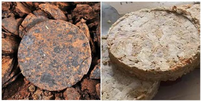 oil press machine1 oil press machine1