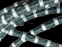 Fio diamantado especializado: projetado para corte de precisão em construção