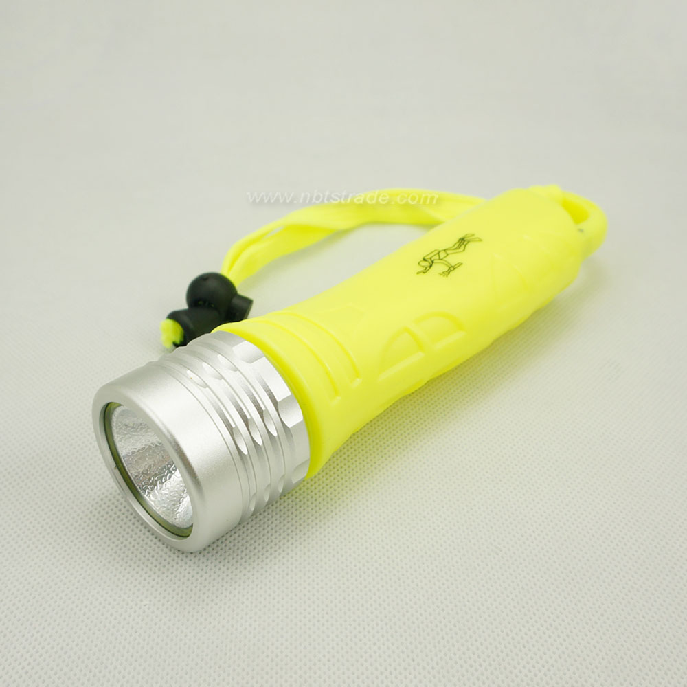 Waterproof LED Flashlight with carabiner for diving