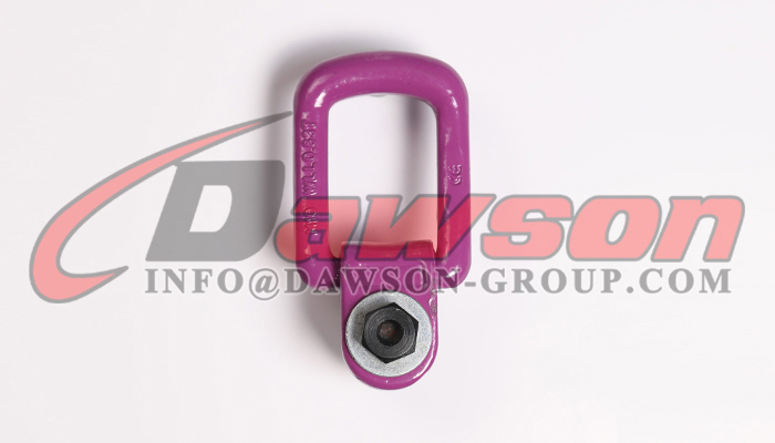 Tornillo de elevaci&oacute;n pivotante DS173 G80 - Dawson Group Ltd. - Fabricante, proveedor, f&aacute;brica de China