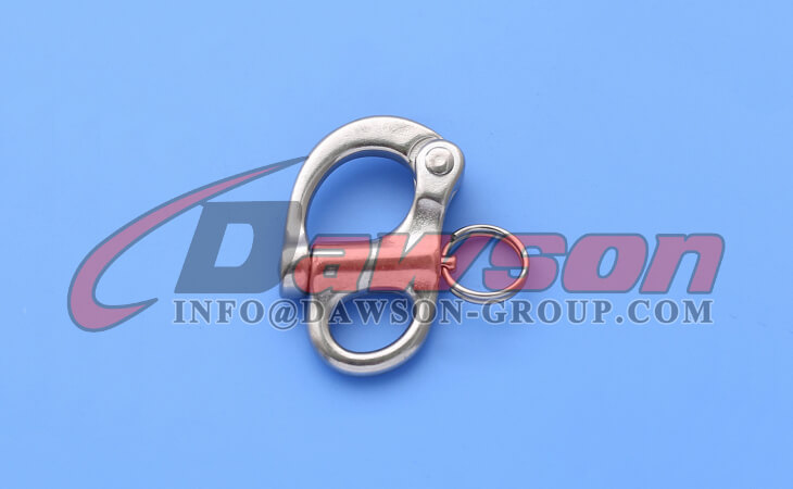 Grillete de presi&oacute;n fijo de acero inoxidable - Dawson Group Ltd. - Fabricante, proveedor de China.