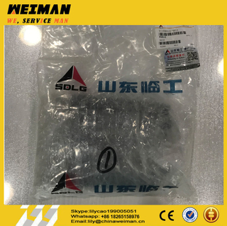 sdlg LG6225E excavator DEUTZ-DACHAI Engine BFM2012 spare parts injetor 4110001424011