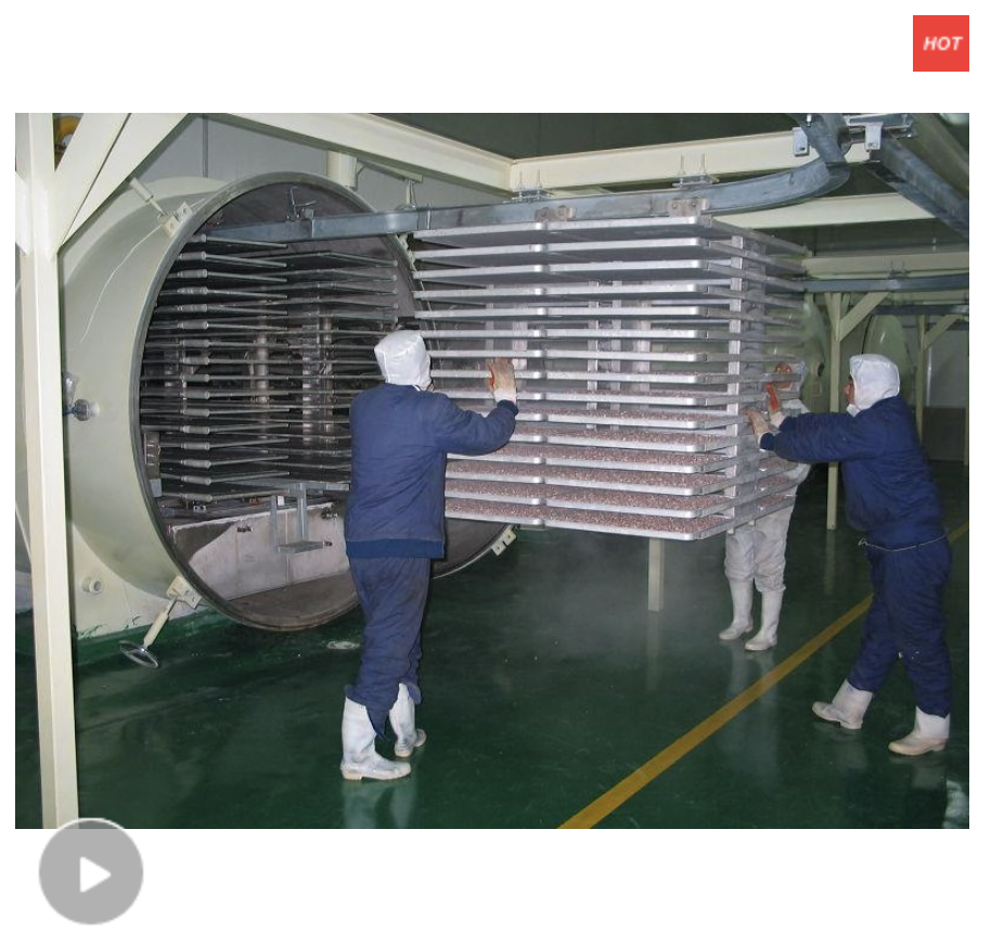 industrial food processing equipment Крупномасштабная промышленная сублимационная сушилка для фруктов и овощей