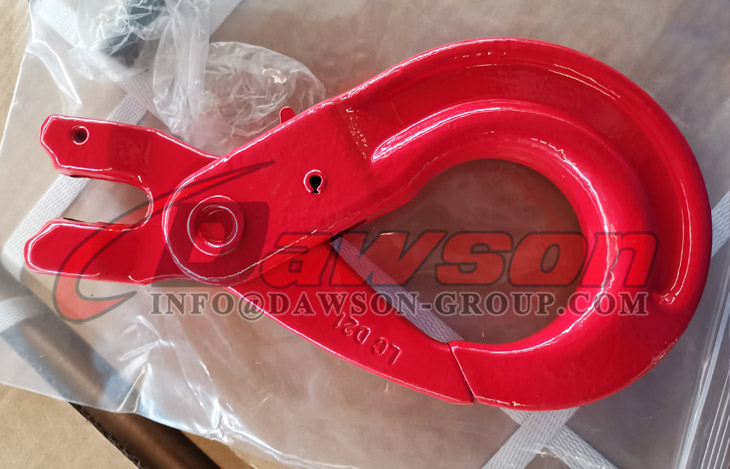 DS082 G80 Gancho autoblocante de horquilla tipo europeo - Dawson Group Ltd. - Fabricante, proveedor y f&aacute;brica de China