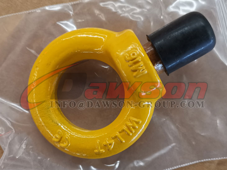 DS054 G80 Tornillo de ojo para punto de elevaci&oacute;n - Dawson Group Ltd. - Proveedor, fabricante, f&aacute;brica de China