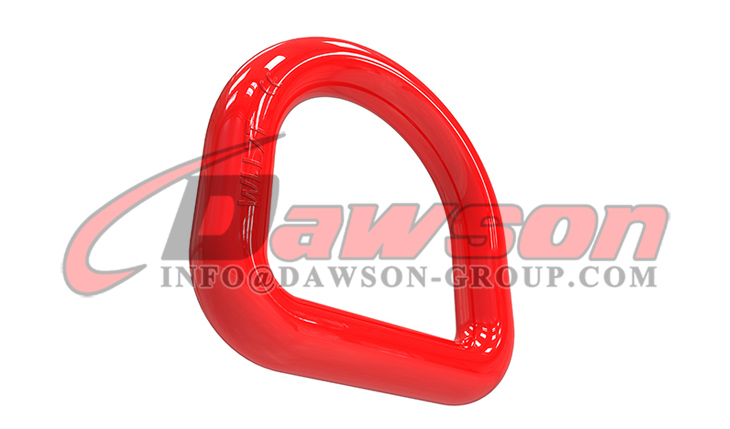 Anillo en D forjado DS406 G80 - Dawson Group Ltd. - Fabricante, proveedor y f&aacute;brica de China
