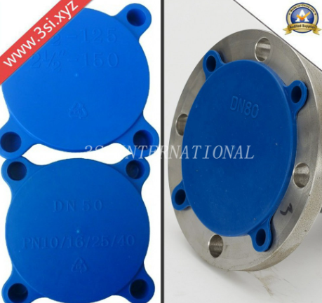 Plastic Material Caps for Slip on Flanges2