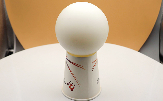 Self-Lubricating Nylon Solid Ball (YZF-FU023) 