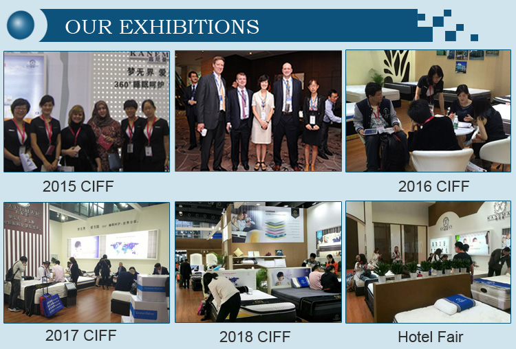 展会展示 展会展示