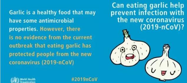 garlic and novel coronavirus World Health Organisation