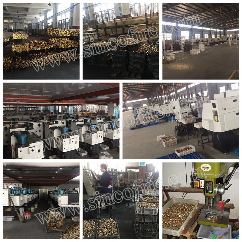 Made in China Fire Sprinkler Fire Hose Fire Equipment
