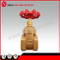 Fogred Brass Gate Valve for Water Control Valve