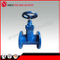 Pn16 Resilient Seated Non Rising Stem Wedge Gate Valve