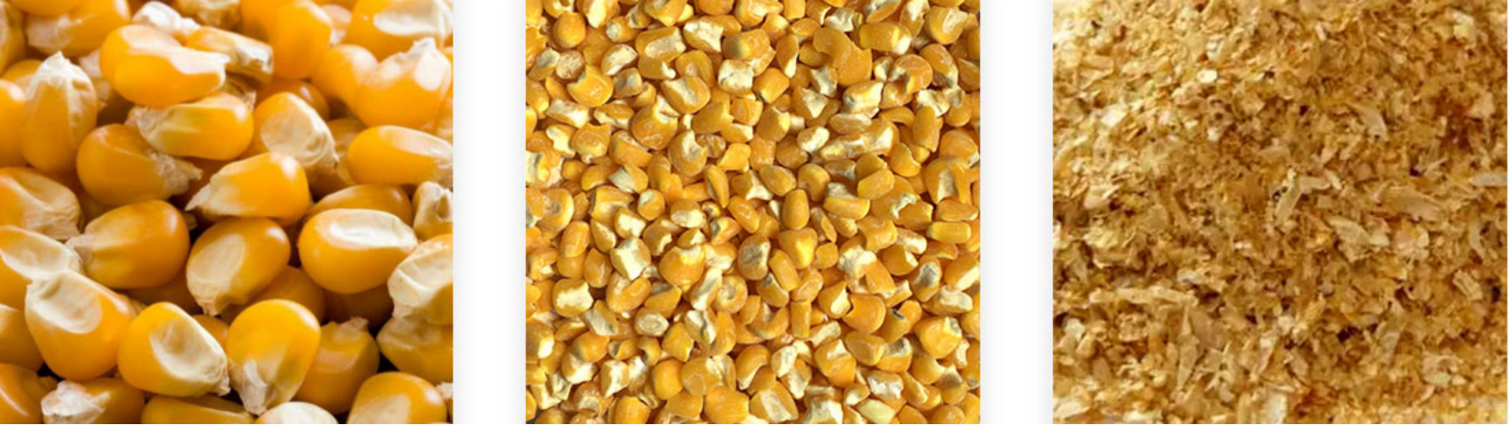 Corn Peeler4 Corn Peeler4