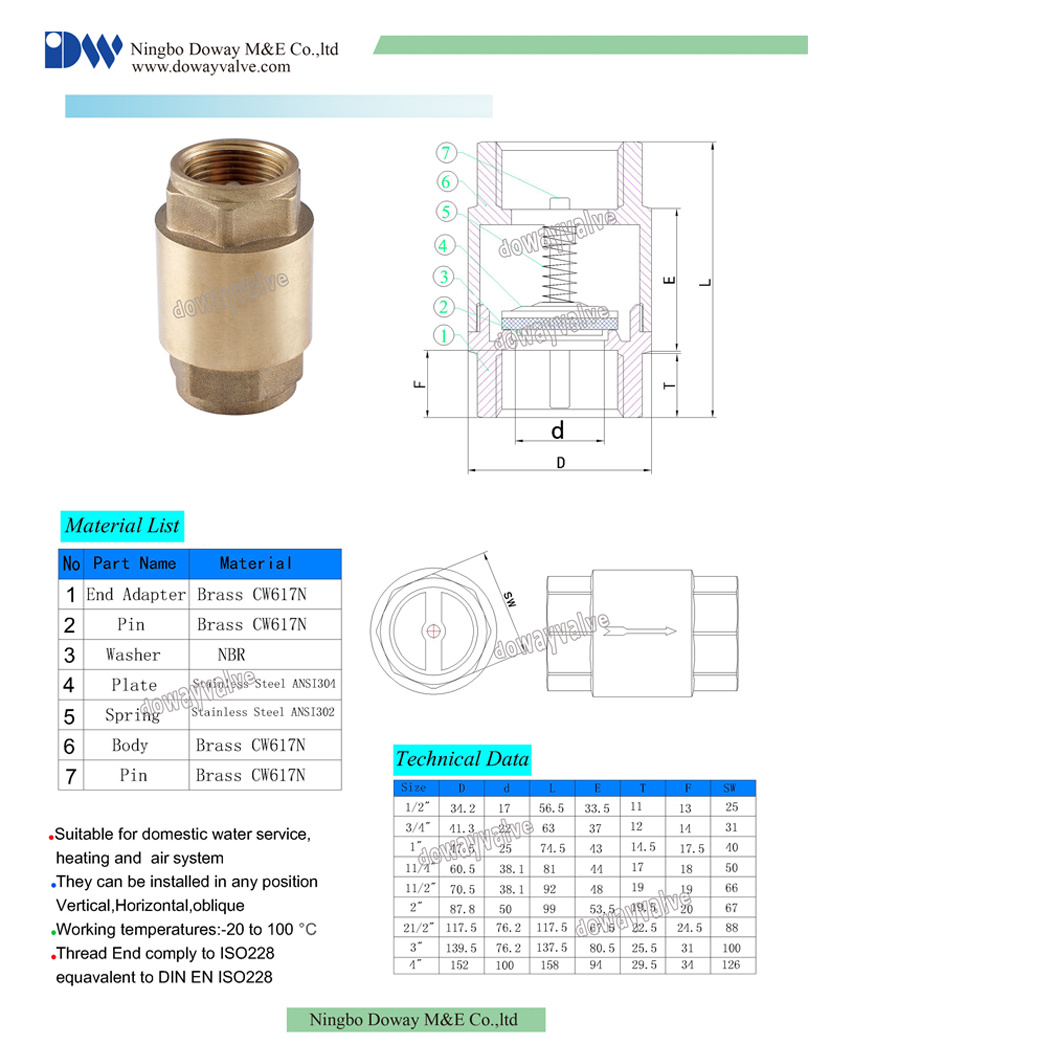 Chine usine de gros en laiton clapet anti-retour à ressort vertical