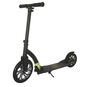 Full aluminum 2 wheel foldable scooter with 250mm front wheel