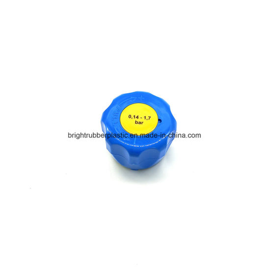 Customized High Quality Injection Plastic Cap