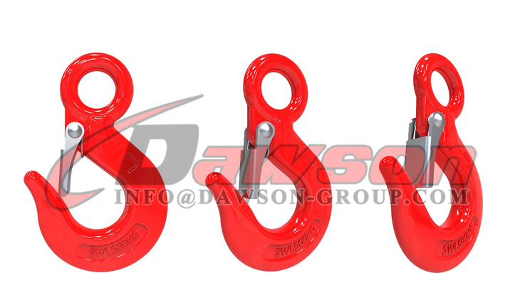 DS357 DIN 鍛造炭素鋼アイフック（ラッチ付き） - Dawson Group Ltd. - 中国メーカー、サプライヤー