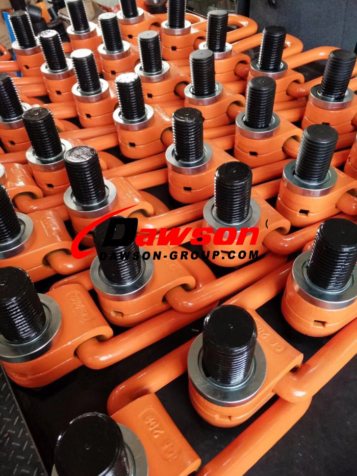 Tornillo de elevaci&oacute;n pivotante DS173 G80 - Dawson Group Ltd. - Fabricante, f&aacute;brica, proveedor de China