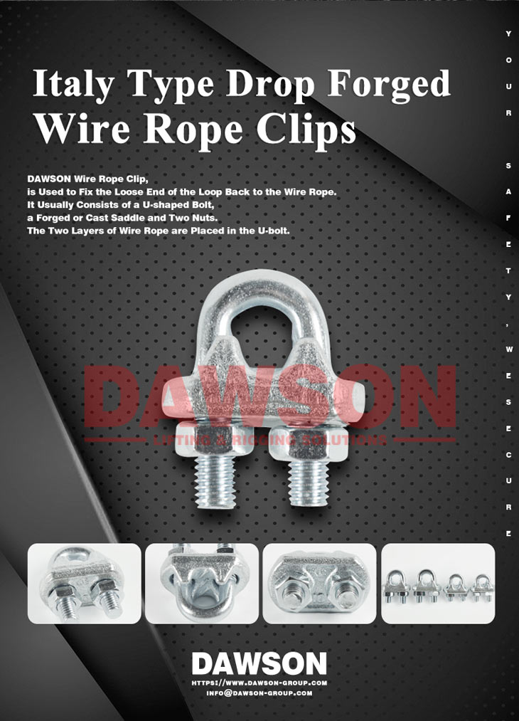 Clips para cable tipo Italia - Dawson Group Ltd. - Fabricante, proveedor y f&aacute;brica de China