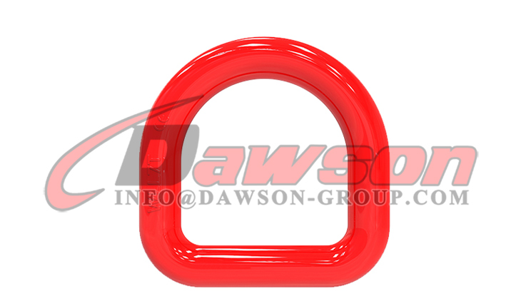 Anillo en D forjado DS406 G80 - Dawson Group Ltd. - Proveedor, fabricante, f&aacute;brica de China