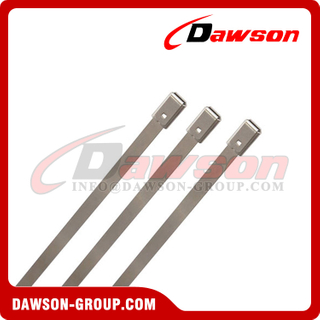 DS-BCS105 Sellos de correa de metal en relieve de longitud fija de acero de hojalata desechables para contenedores