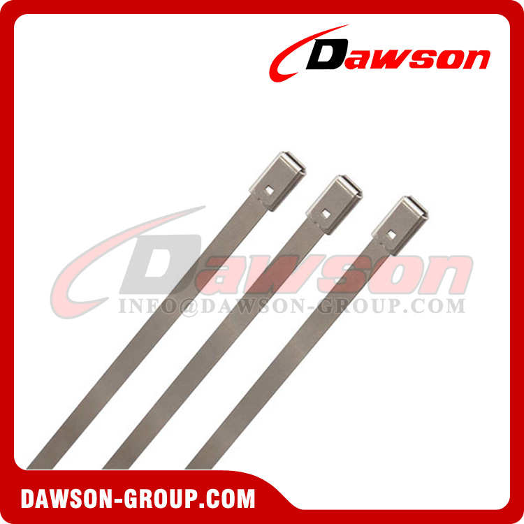 DS-BCS105 Одноразовые стальные уплотнения из жести фиксированной длины с тиснением и металлической лентой для контейнеров