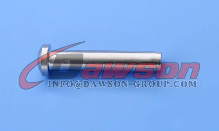ワイヤー ロープ用ステンレス鋼ドーム ヘッド ターミナル - Dawson Group Ltd. - 中国メーカー、サプライヤー、工場