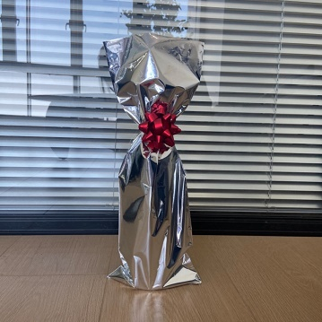 Aluminized Gift Bag