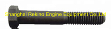 108602 Hexagon head cap screw KTA19 Cummins engine parts