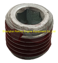 3008468 Pipe plug KTA19 Cummins engine parts