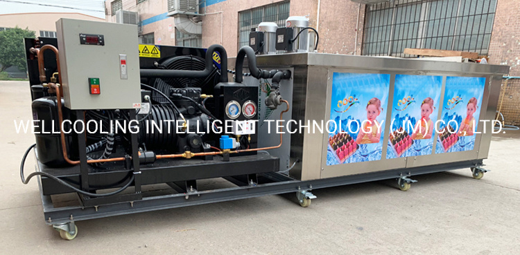 10 Moulds Paleta Stainless Steel Ice Cream Popsicle Machine