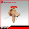 2.5" Bsp Screw Right Angle Fire Hydrant Landing Valve