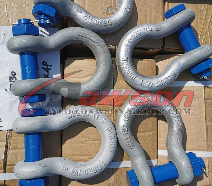 Grillete de anclaje tipo perno S6 - Dawson Group Ltd. - Proveedor de China