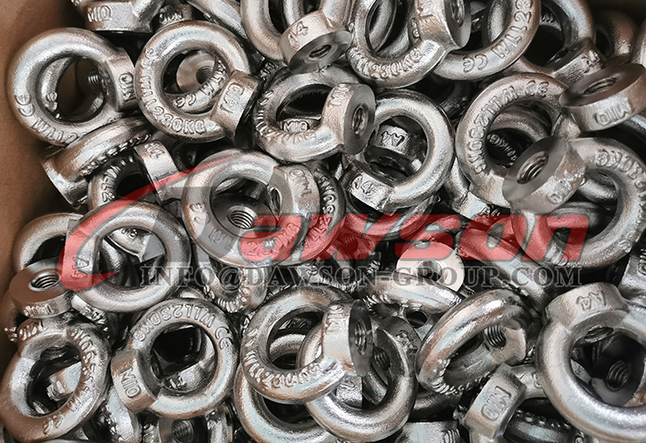 Tuerca de ojo SS AISI316 DIN 582, Tuerca de ojo de elevaci&oacute;n, Tuerca de ojo de m&aacute;quina - Dawson Group Ltd. - Fabricante, proveedor, f&aacute;brica de China
