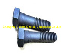 3002886 Cam follow shaft screw KTA19 Cummins engine parts