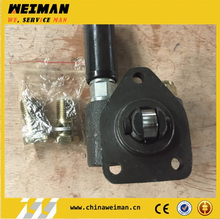 SDLG 13073546 Fuel supply pump