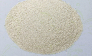 White Onion Powder Export to Peru and Russia