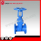Awwa/DIN/ANSI/Mssp Cast/Ductile Iron Various Kinds Gate Valve for Rubber/Metal Seated