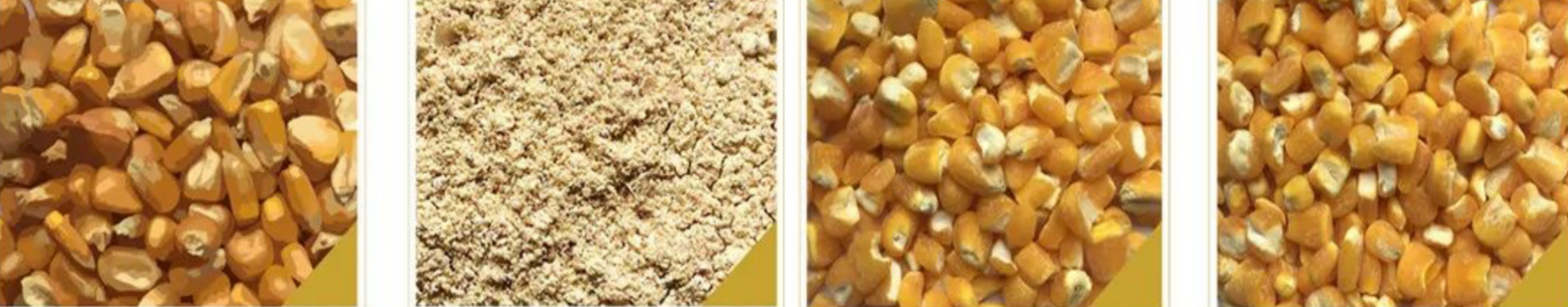 corn peeling machine2 corn peeling machine2