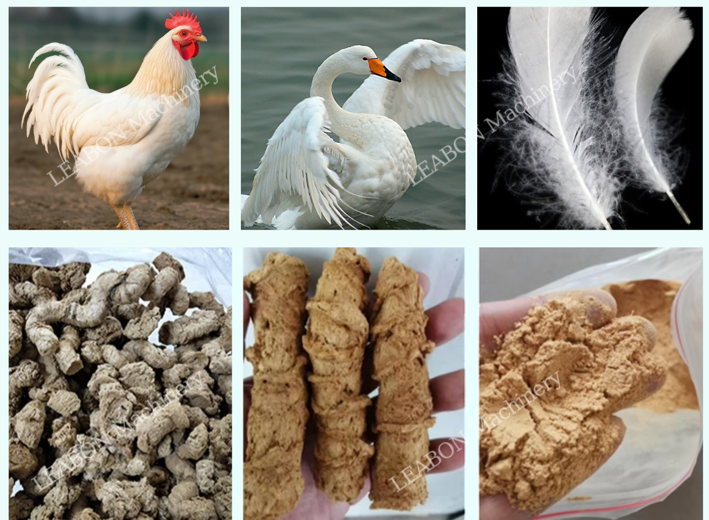 feather puffing machine5 feather puffing machine5