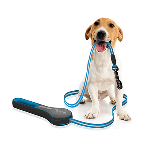 宠物狗玩具 耐咬磨牙绳 磨牙棒 大型犬训练玩具