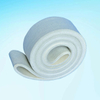 Polyester Endless Belt