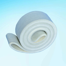 Polyester Endless Belt